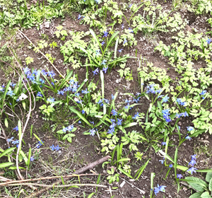 Природа 716.png